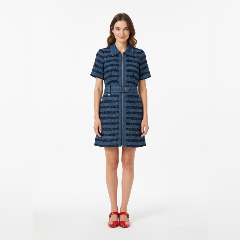 Jason Wu Blue Striped Tweed Mini Dress